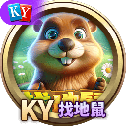 小9体育官方网站入口全面焕新，打造一站式体育娱乐平台